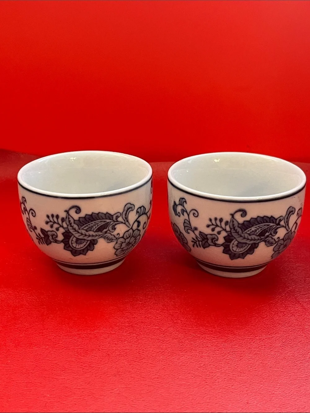Pier 1 Handpainted Porcelain Tea Cups – Blue and White Floral – Set of 2